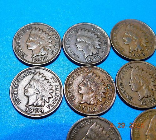 Lot of (10) Different Indian Head Cents, 1900's