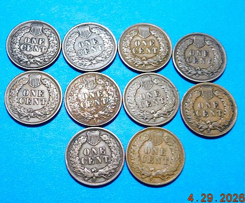 Lot of (10) Different Indian Head Cents, 1900's