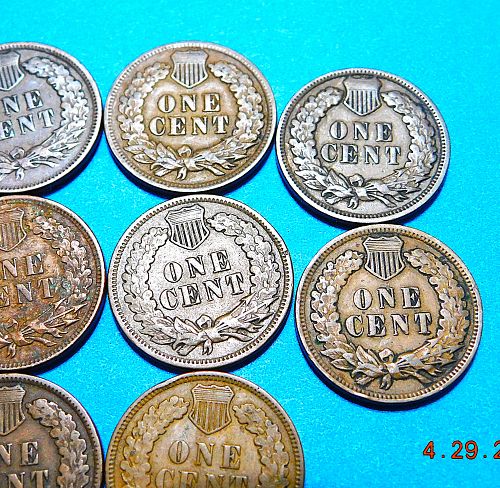 Lot of (10) Different Indian Head Cents, 1900's