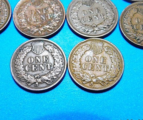 Lot of (10) Different Indian Head Cents, 1900's