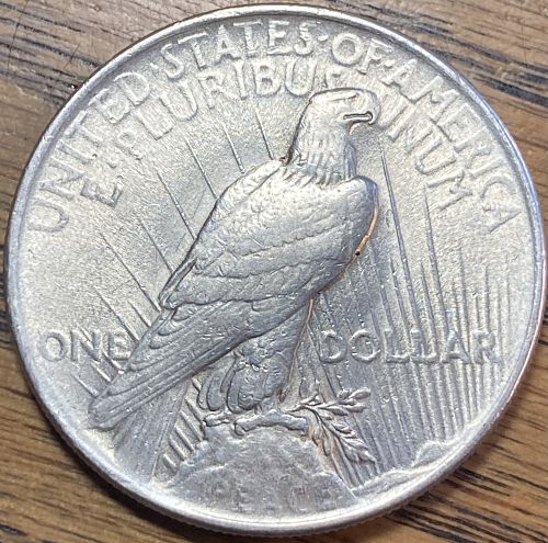 1924 peace dollar in EXTREMELY FINE condition