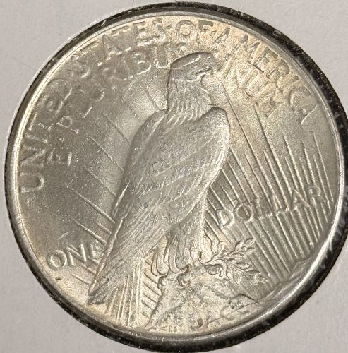 1924 Peace Silver Dollar, Choice Uncirculated, (20454)