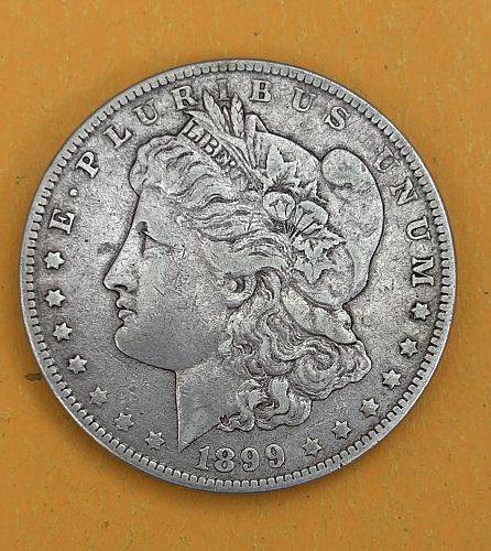 1899 Morgan circulated