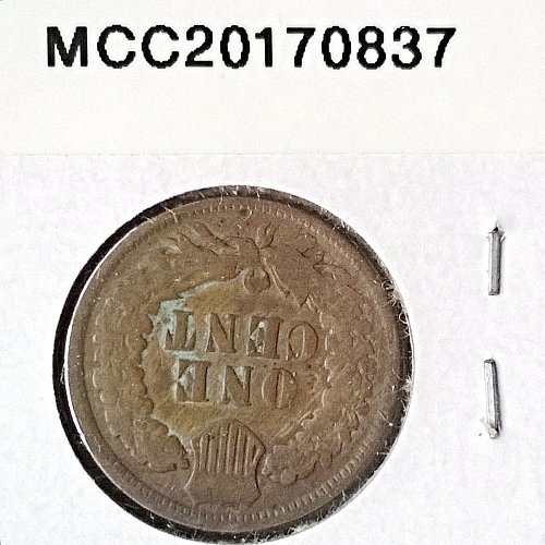 1899 P Indian Head Cent - 6 Photos!