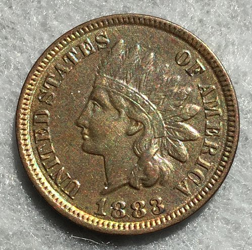 1883 Indian Head Penny   /   WM-75