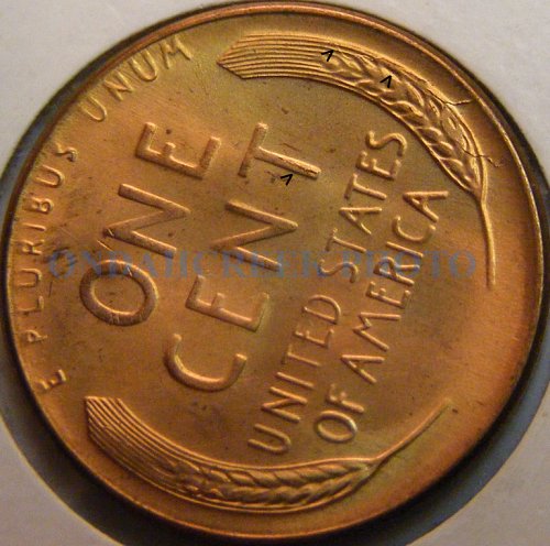 1957-D Lincoln Cent Retained Cud Reverse plus Die Chip n Cracks Obv Mint Error