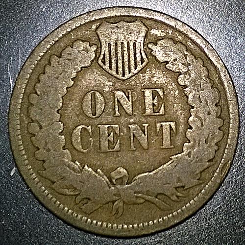 1901 P Indian Head Cent - 6 Photos!