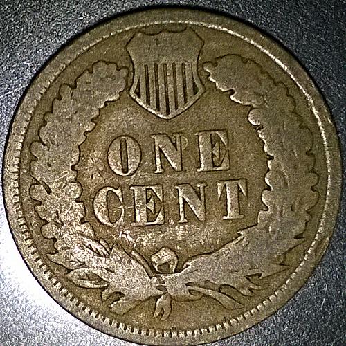 1901 P Indian Head Cent - 6 Photos!