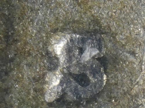 1941 S Jefferson Nickel  RPM