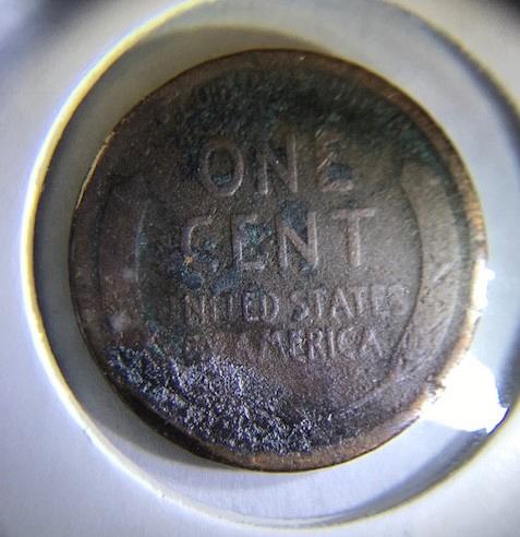1909 P Wheat Cent