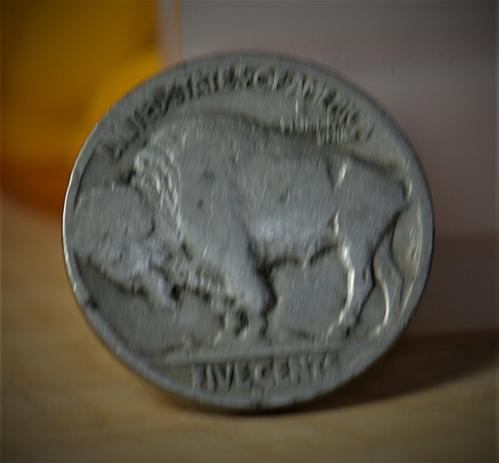 1929 D Buffalo (Indian Head) Nickel