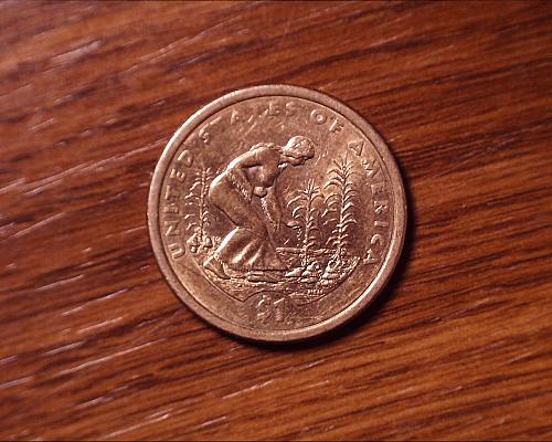 2009 D Native American