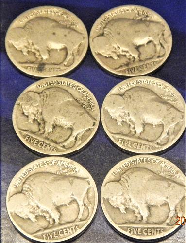 (6 ) NO  Date Buffalo Nickels