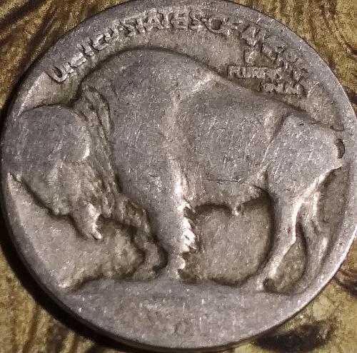 Five 1913D Type 1 dateless Buffalo Nickels