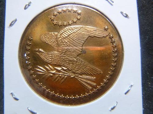 USA BICENTENNIAL FLYING EAGLE  WITH 52 STARS  BRONZE MEDAL COIN