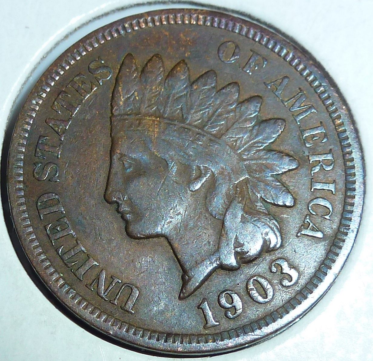1903 Indian Cent Grades EXTRA FINE ( 005 ) - For Sale, Buy Now Online ...