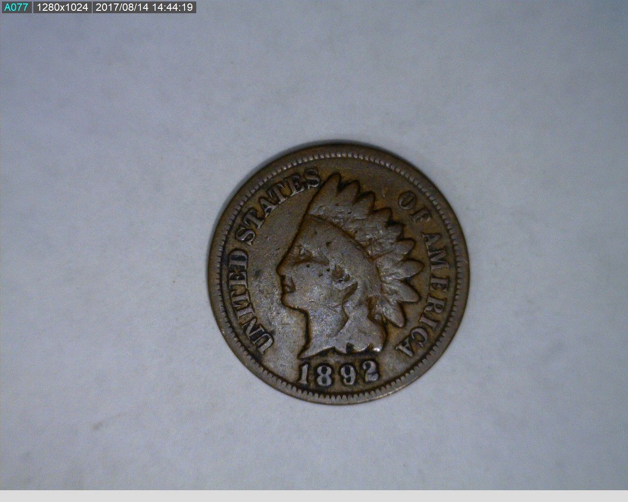 1892 Indian Head cent (38-332) - For Sale, Buy Now Online - Item #781373