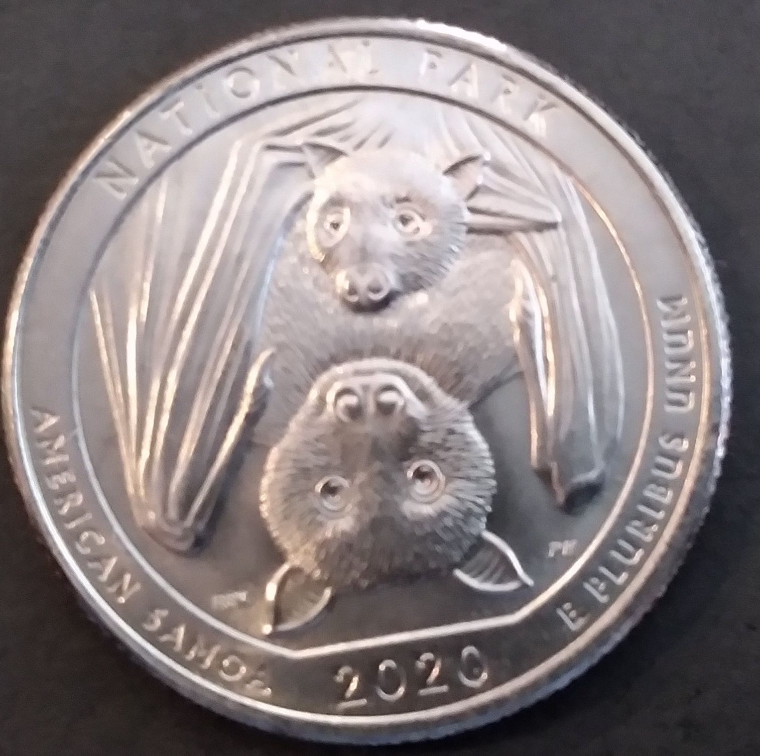 2020 P American Samoa National Park America The Beautiful Quarters ...