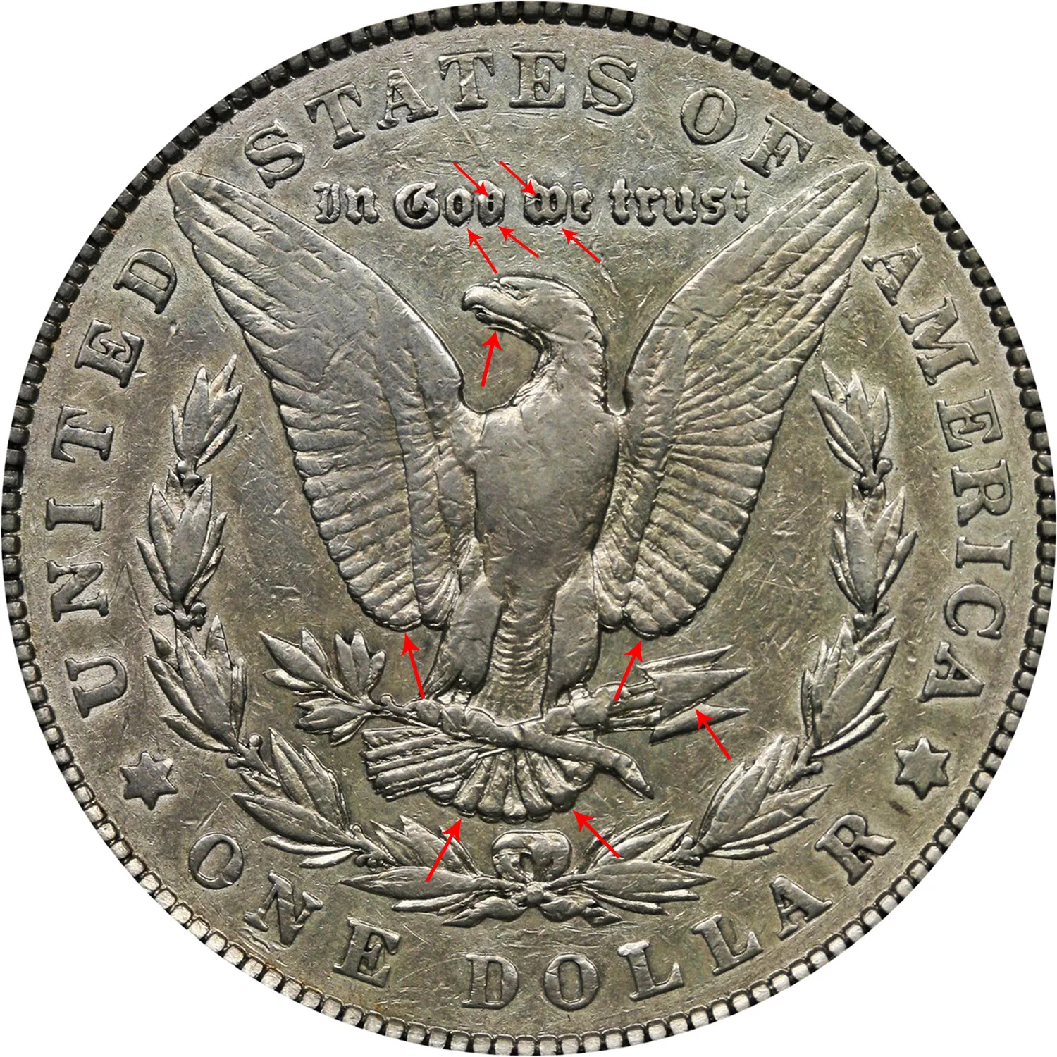 1901 P Morgan Dollars Doubled Die Reverse Early Silver Dollars