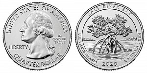 2020 Salt River Bay Design - U.S. Virgin Islands