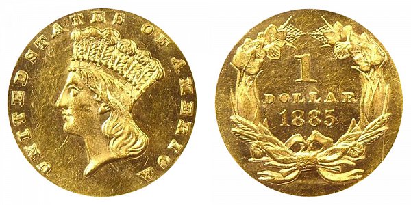 1885 Large Indian Princess Head Gold Dollar G$1 