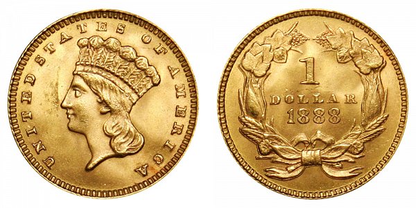 1888 Large Indian Princess Head Gold Dollar G$1 