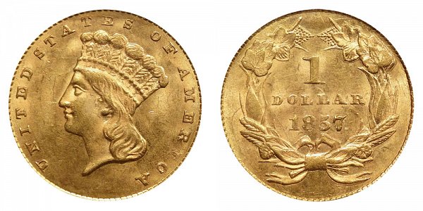 $1 Large Indian Princess Head Gold Dollar